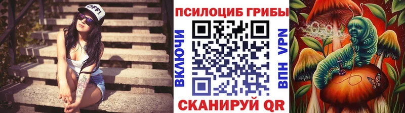 Псилоцибиновые грибы Magic Shrooms  Купить  Хабаровск 